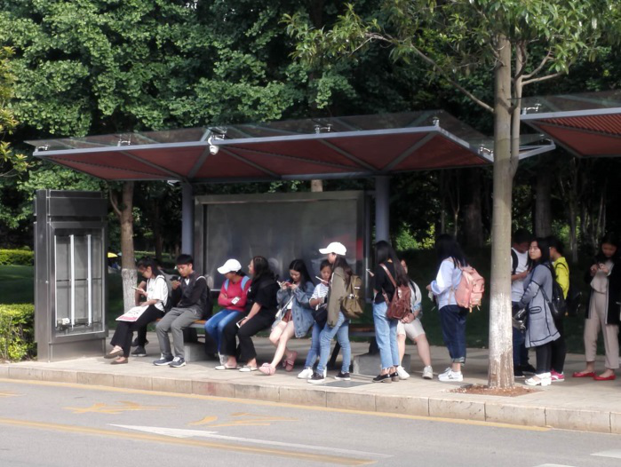 长组织召开呈贡主校区校内公交站台竣工验收暨