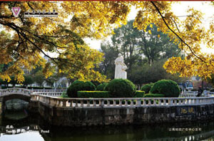 云南师范大学 云南师范大学