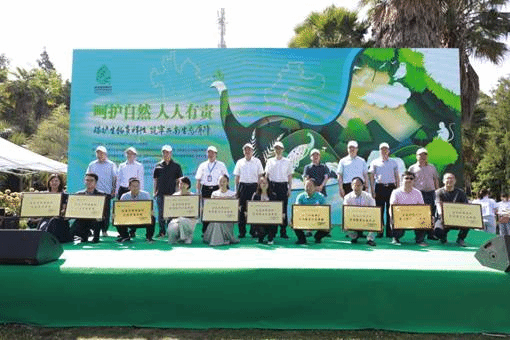 图片8