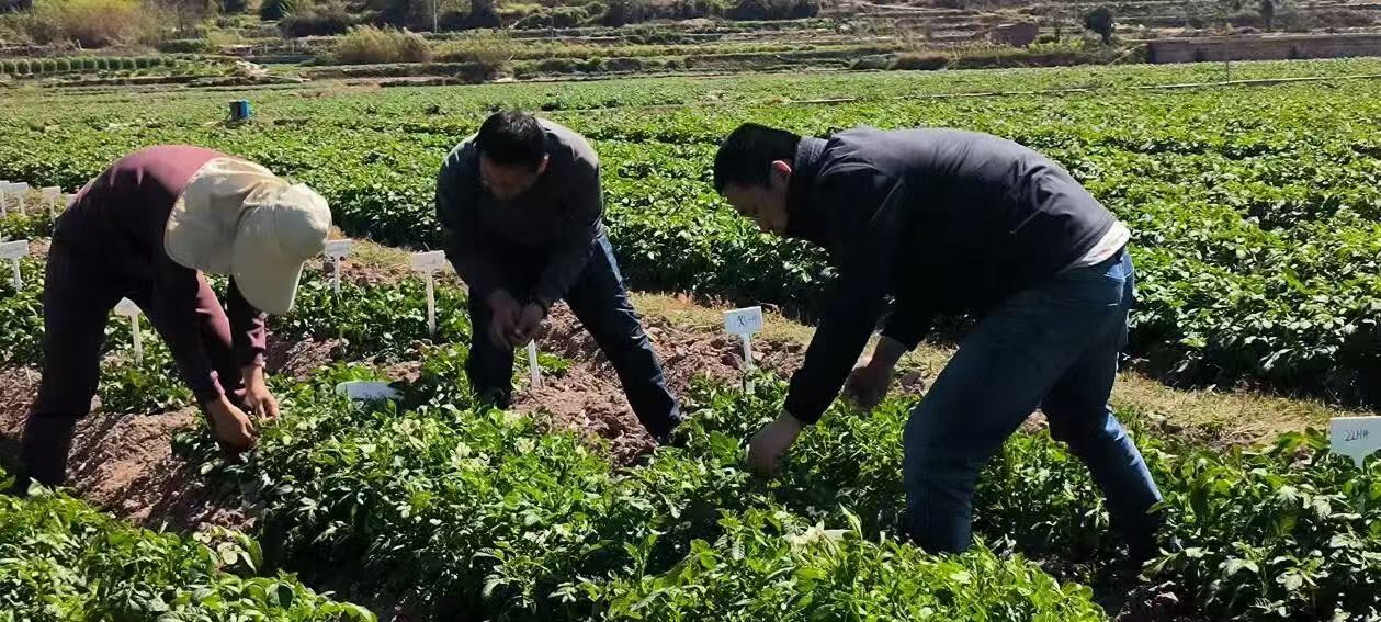 75737e6dcf51bdc23eb75ded237ad0e9